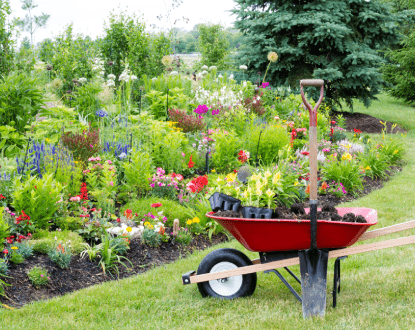 LANDSCAPING